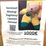 Ein Plakat zu einer Suchaktion. (Archivbild)