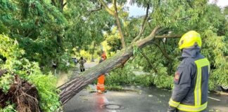 Einsatzkräfte der Feuerwehr arbeiten auf einer Straße, die durch einen durch schwere Böen entwurzelten Baum, blockiert ist.