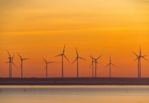 Windräder sind in Brandenburg kein seltener Anblick - auch in Berlin werden neue Standorte gesucht. (Archivbild)