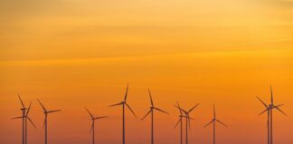 Windräder sind in Brandenburg kein seltener Anblick - auch in Berlin werden neue Standorte gesucht. (Archivbild)
