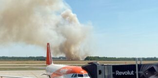Ein Brand auf einem Getreidefeld ganz in der Nähe des Flughafens BER erzeugt auch bei Fluggästen Aufmerksamkeit. 