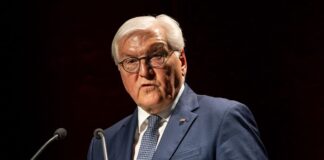 Der Bundespräsident Frank-Walter Steinmeier arbeitet im Juli drei Tage lang von Neuruppin aus und sucht den Austausch mit Bürgern. (Archivbild)
