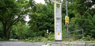 Die Schäden im Tegeler Forst sind erheblich.