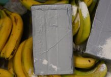 In mehreren Supermärkten in Berlin und Brandenburg sollen Ermittler versteckte Drogen in Bananenkisten gefunden haben. (Symbolbild)