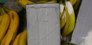 In mehreren Supermärkten in Berlin und Brandenburg sollen Ermittler versteckte Drogen in Bananenkisten gefunden haben. (Symbolbild)