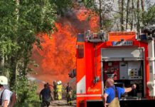 Die Feuerwehr bekämpft einen Waldbrand in Schönberg im Landkreis Ostprignitz-Ruppin. 