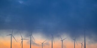In Berlin ist die Diskussion über künftige Standorte von neuen Windkraftanlagen nicht beendet. (Archivfoto)