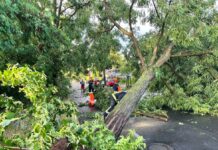 Die Aufräumarbeiten nach dem Unwetter dauern in Berlin und Brandenburg an.