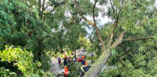 Die Aufräumarbeiten nach dem Unwetter dauern in Berlin und Brandenburg an.