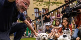 60 Jahre Idefix: Das Museum für Kommunikation suchte den besten Doppelgänger des Comic-Hundes.