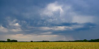 Die Sonne ist in den nächsten Tagen kaum hinter der dichten Wolkendekce zu sehen. (Symbolbild)