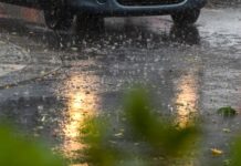 In Potsdam ist ein Mensch bei einem Unwetter lebensbedrohlich verletzt worden. (Symbolbild) 