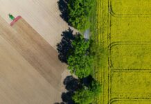Nach Angaben des Agrarmarketing-Verbandes Pro Agro werden in Brandenburg 45 Prozent der Bodenfläche landwirtschaftlich genutzt. (Symbolbild)