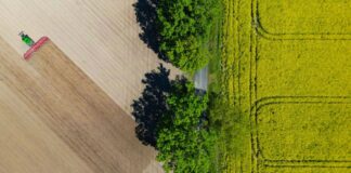 Nach Angaben des Agrarmarketing-Verbandes Pro Agro werden in Brandenburg 45 Prozent der Bodenfläche landwirtschaftlich genutzt. (Symbolbild)