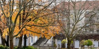 Im Körnerpark in Neukölln wurde ein 28-Jähriger so schwer verletzt, dass er später im Krankenhaus starb. (Archivbild)