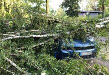 Die Feuerwehr wird nach dem Unwetter auch am Freitag alle Hände voll zu tun haben.