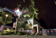 Der Sturm hat zu zahlreichen Schäden in der Hauptstadt geführt.