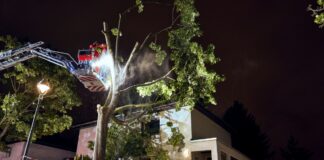 Der Sturm hat zu zahlreichen Schäden in der Hauptstadt geführt.