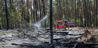 Ein Waldbrand in Lindow bei Neuruppin hat zu einem stundenlangen Feuerwehreinsatz geführt.