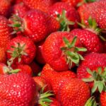 Nachts pflücken Diebe auf einer Plantage Erdbeeren - doch dann kommt die Polizei. (Symbolbild) 