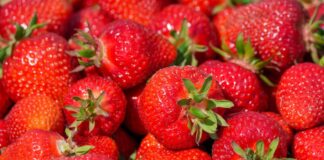 Nachts pflücken Diebe auf einer Plantage Erdbeeren - doch dann kommt die Polizei. (Symbolbild) 