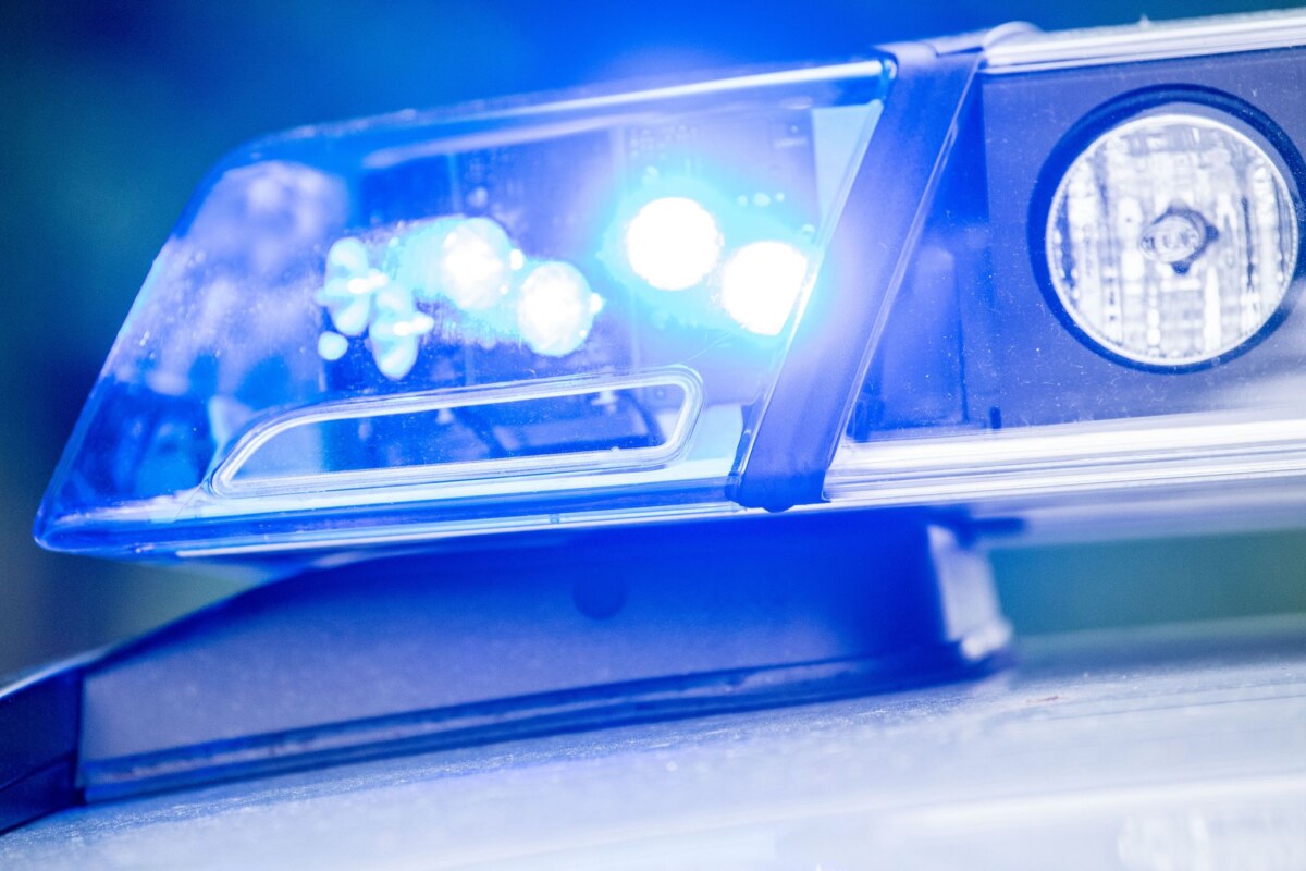 Polizei Blaulicht Die Polizei hat zwei spielende Kinder aus unmittelbarer Nähe der Gleise der Bahnstrecke Hamburg - Berlin geholt. Die Strecke wurde zeitweise gesperrt. (Symbolbild)