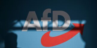 Die AfD legte zuletzt bei Wahlen stetig zu. (Symbolbild) 