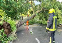 Nicht nur in Berlin, auch in der Lausitz war die Feuerwehr ununterbrochen wegen umgestürzter Bäume in Einsatz.