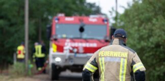 In der Gohrischheide an der Grenze zwischen Sachsen und Brandenburg hatte es zuletzt tagelang gebrannt. (Archivbild)