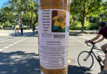 Suche nach dem vermissten Teddy in Berlin: Der Finderlohn ist deutlich erhöht worden. 