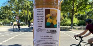 Suche nach dem vermissten Teddy in Berlin: Der Finderlohn ist deutlich erhöht worden. 