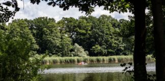 Für einen Mann endete ein Badeausflug zum Falkenhagener See tödlich. (Symbolbild)