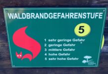 In Brandenburg ist die Waldbrandgefahr über Nacht gesunken. (Archivbild)