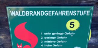 In Brandenburg ist die Waldbrandgefahr über Nacht gesunken. (Archivbild)