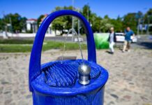 Die Trinkbrunnen werden in Berlin von Mensch und Tier genutzt.