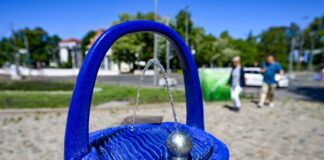 Die Trinkbrunnen werden in Berlin von Mensch und Tier genutzt.