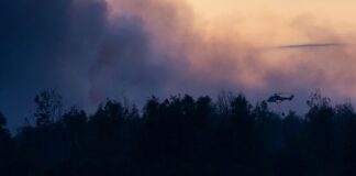 Wie groß das vom Waldbrand betroffene Gebiet in der Gohrischheide derzeit ist, ist laut dem Landkreis schwierig einzuschätzen. (Fotoarchiv)
