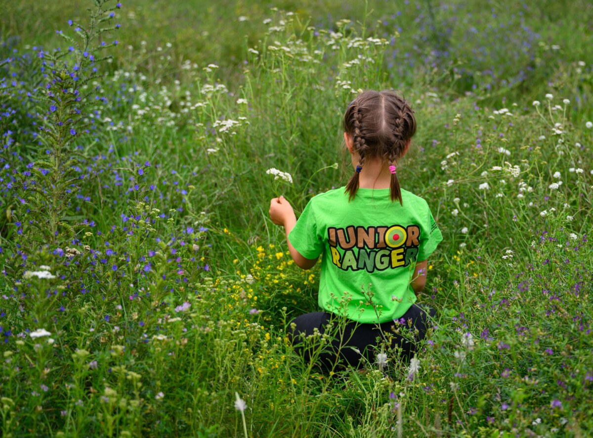 Junior-Ranger-Camp im Nationalpark Unteres Odertal Rund 90 Kinder und Jugendliche treffen sich an diesem Wochenende zur 21. Auflage des Junior-Ranger-Camps in Criewen.
