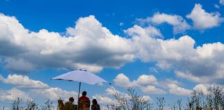 Der Mittwoch startet mit einem Mix aus Sonne und Wolken. (Symbolbild)