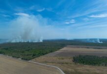 Das Feuer in der Gohrischheide hat sich bisher nicht von Sachsen auf Brandenburg ausgebreitet. 