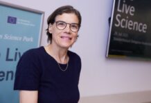 Brandenburg will Zusammenarbeit mit Niederschlesien ausbauen (Foto-aktuell).