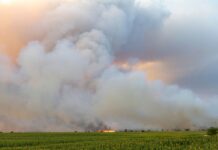 Das Feuer in der Gohrischheide ist weiterhin nicht unter Kontrolle. Aktuell breitet sich der Brand nach Norden aus, teilte das Landratsamt Meißen am Donnerstagmorgen mit.
