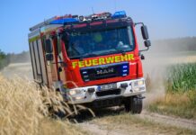 Die Feuerwehr muss immer wieder zu Bränden in Brandenburg ausrücken. (Symbolbild)
