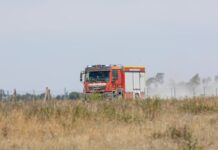 Der Brand in der Gohrischheide in Sachsen könnte sich erneut auf Brandenburger Gebiet ausbreiten. 