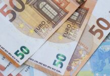 Der Finderlohn für einen gestohlenen Plüsch-Teddy beträgt nun satte 5.000 Euro. (Archivbild)