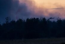 Wie groß das vom Waldbrand betroffene Gebiet in der Gohrischheide derzeit ist, ist laut dem Landkreis schwierig einzuschätzen.