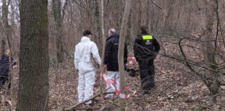 Kriminaltechniker sichern Spuren nach dem Fund eines Oberschenkels. (Archivbild) 