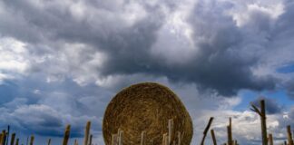 Am Donnerstag sind dichte Wolken angesagt. (Symbolbild)
