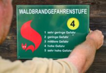 Am Samstag soll in Brandenburg an vielen Orten wieder eine hohe bis sehr hohe Waldbrandgefahr bestehen. (Symbolbild)