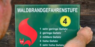 Am Samstag soll in Brandenburg an vielen Orten wieder eine hohe bis sehr hohe Waldbrandgefahr bestehen. (Symbolbild)